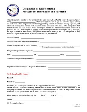 Designation of Representative for Account Information and Payments