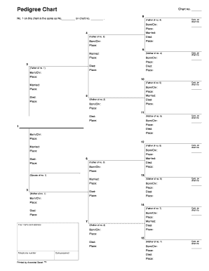 Pedigree Chart Template