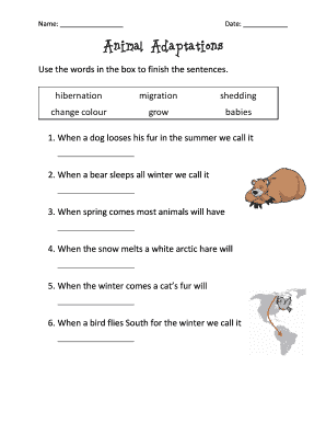 Animal Adaptations Worksheet
