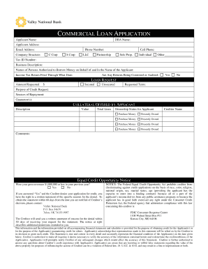 Commercial Loan Application
