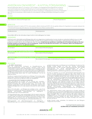 Credit Application for Capital Insurance