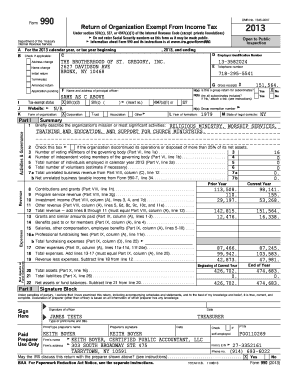Form 990 2013