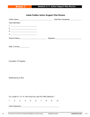 Infant-Toddler Action Support Plan Review