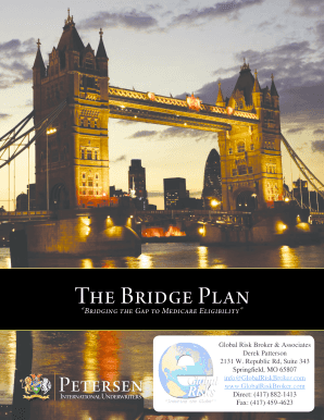 The Bridge Plan Application Form