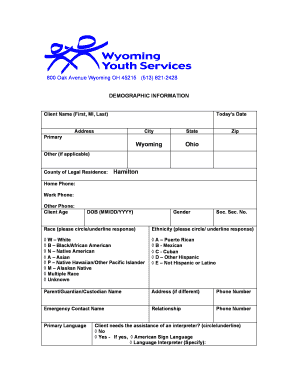 Client Demographic Information Form