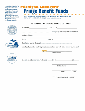 Affidavit Declaring Marital Status