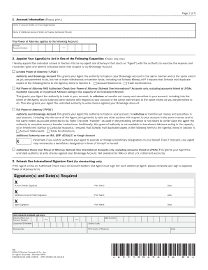 Power of Attorney for Schwab International Accounts
