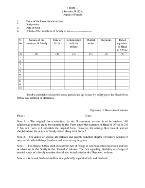 Form preview picture