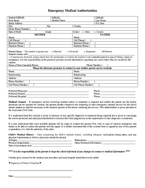 Emergency Medical Authorization Form