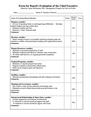 Board's Evaluation of the Chief Executive