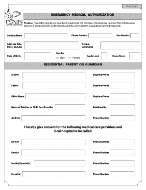 Emergency Medical Authorization Form