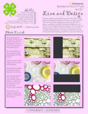4-H Line and Design Activity Page