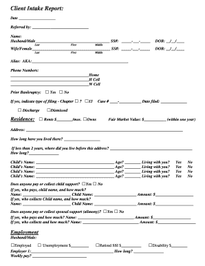 Client Intake Report for Bankruptcy