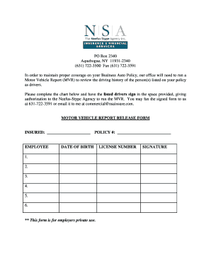 Motor Vehicle Report Release Form