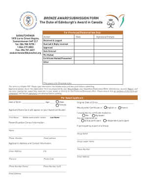 Bronze Award Submission Form