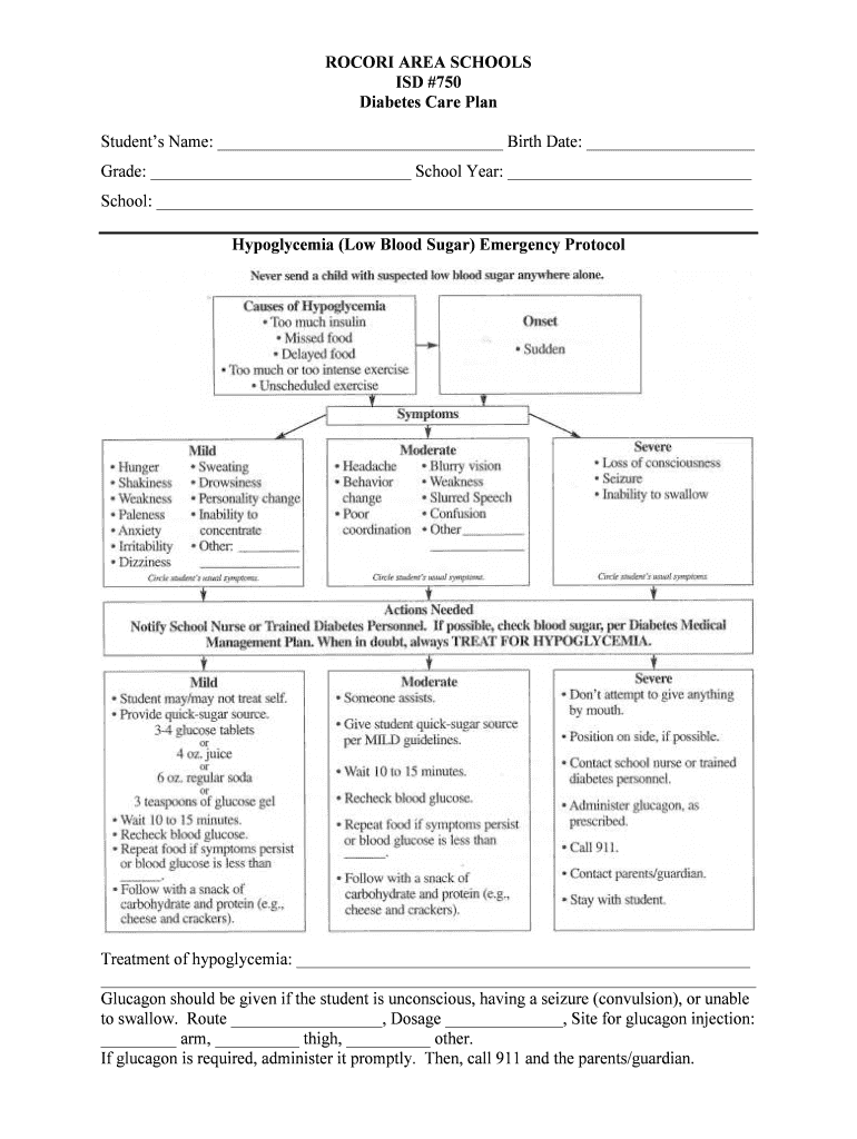 Fillable Online Care Plan Diabetesdocx Fax Email Print pdfFiller