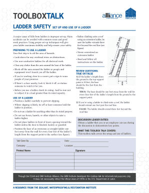 Ladder Safety Setup and Use Guide