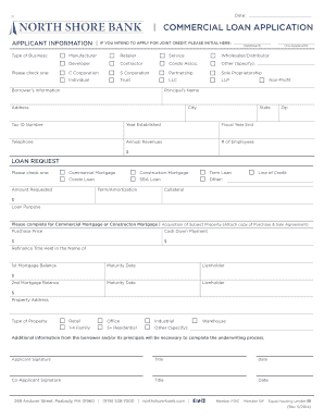 Commercial Loan Application Form
