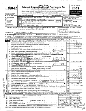 Form 990-EZ 2009