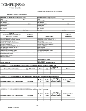 Personal Financial Statement Form