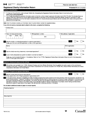 Registered Charity Information Return
