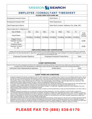 Employee Consultant Timesheet