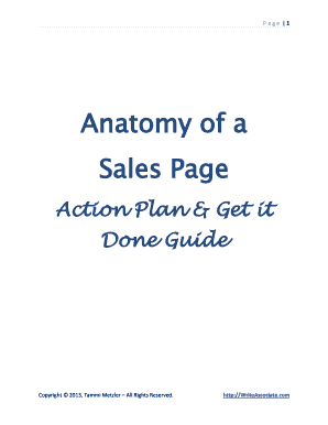 Sales Page Action Plan Guide