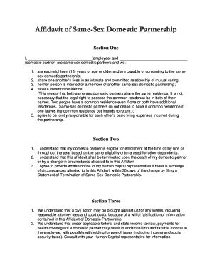 Affidavit of Same-Sex Domestic Partnership