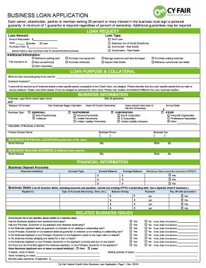 Business Loan Application Form