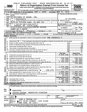 IRS Form 990 2009