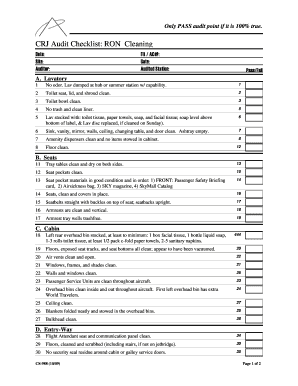 cleaning audit checklist