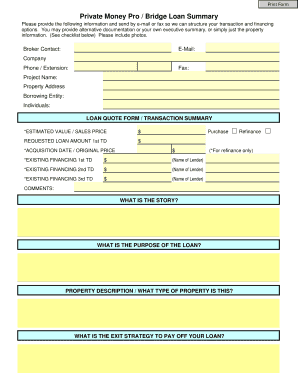 Bridge Loan Transaction Summary Form