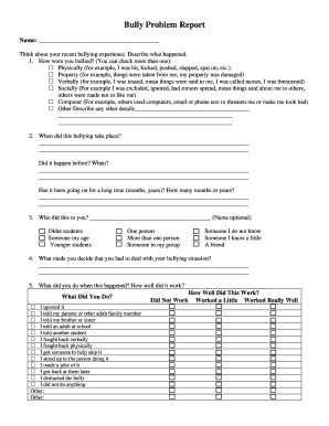 Bully Problem Report Form