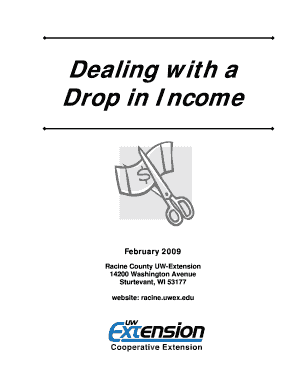 Dealing with a Drop in Income Guide