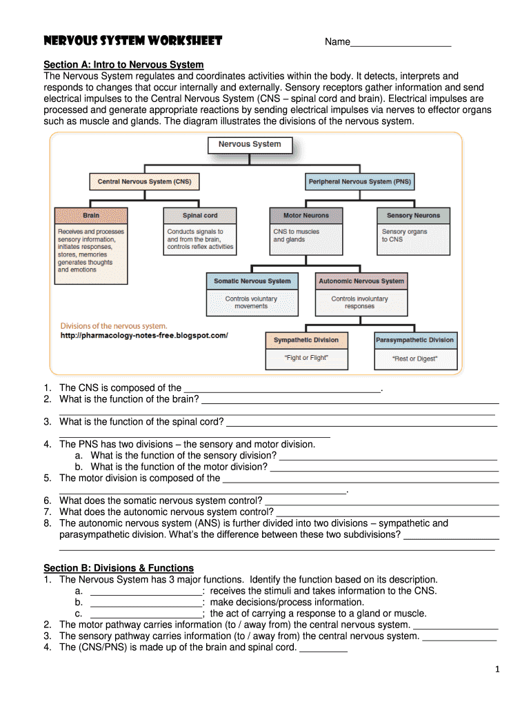 Nervous system worksheet: Fill out & sign online | DocHub
