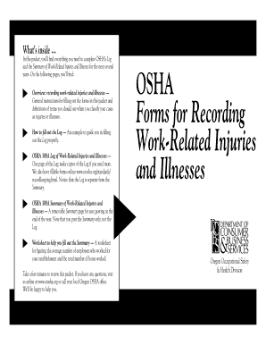 OSHA 300A Log of Work-Related Injuries and Illnesses