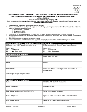 Government-Paid Paternity Leave Application Form