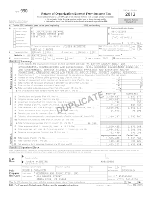 Form 990 2013