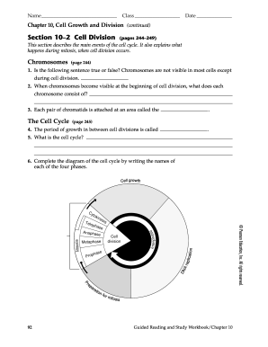 Cell Growth and Division Worksheet