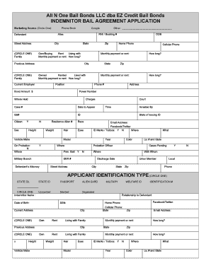 Indemnitor Bail Agreement Application