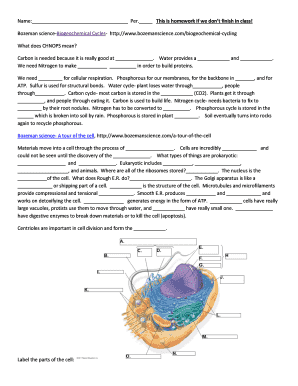 Biogeochemical Cycles Homework Worksheet