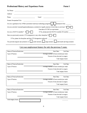 Professional History and Experience Form