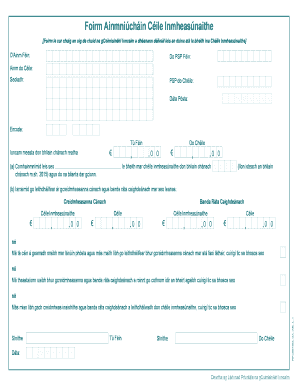 Irish Married Couple's Assessment Form