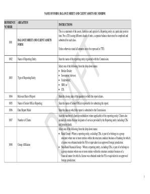 Balance Sheet and Client Assets SEC-MMRF01