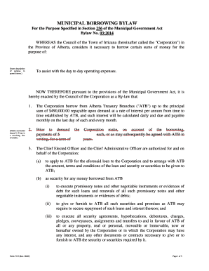 Educational program evaluation template - 7115 Form - Municipal Borrowing Bylaw - townofirricana