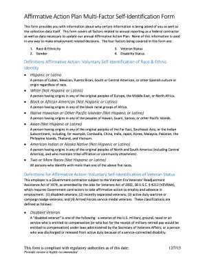 Affirmative Action Plan Factor Self Identification Form - ilcounty