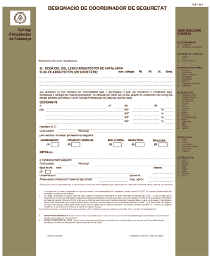 Designation of Safety Coordinator