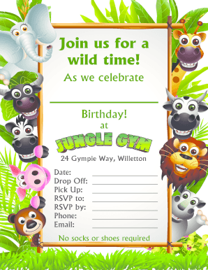 Birthday Party Invitation