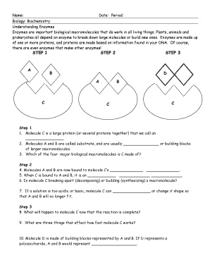 Biology Worksheet on Enzymes
