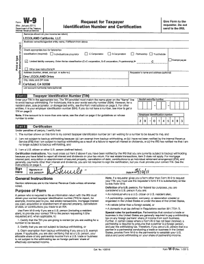 Form W-9 Request for Taxpayer Identification Number and Certification